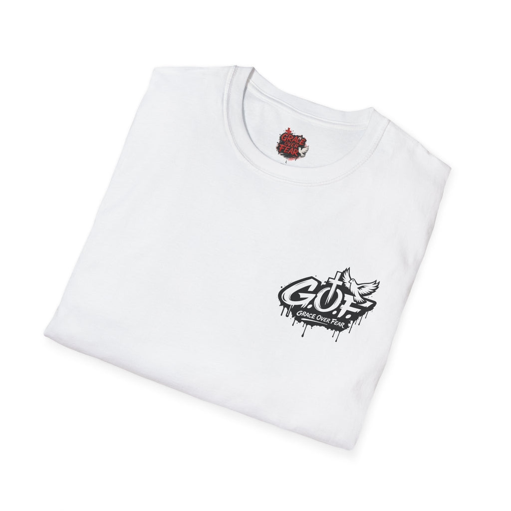 "The Lord Stood at My Side (2 Tim 4:17)